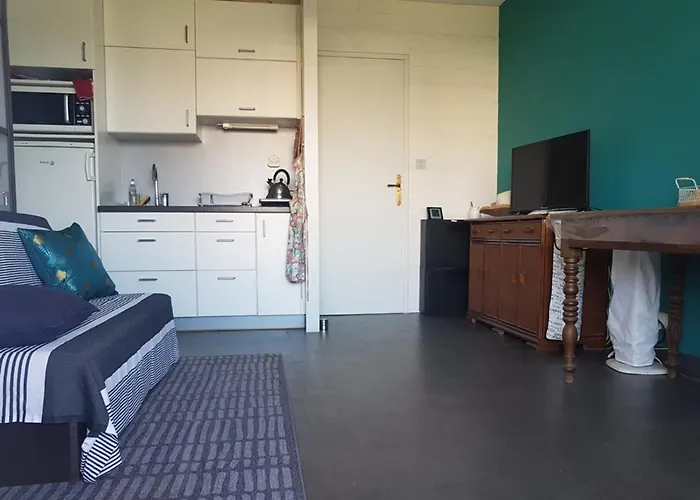 Calme Proche Avec Climatisation, - Fr-1-803-54 Lägenhet Le Lavandou